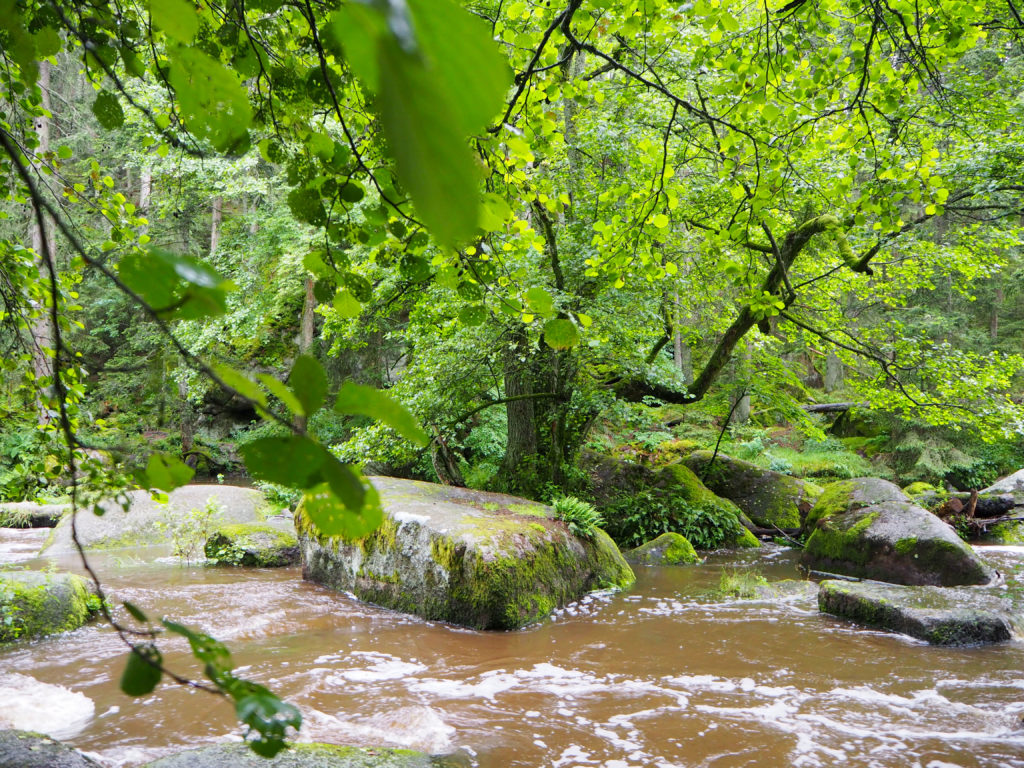 Entlang an der Waldnaab im Waldnaabtal am Fernwanderweg Goldsteig