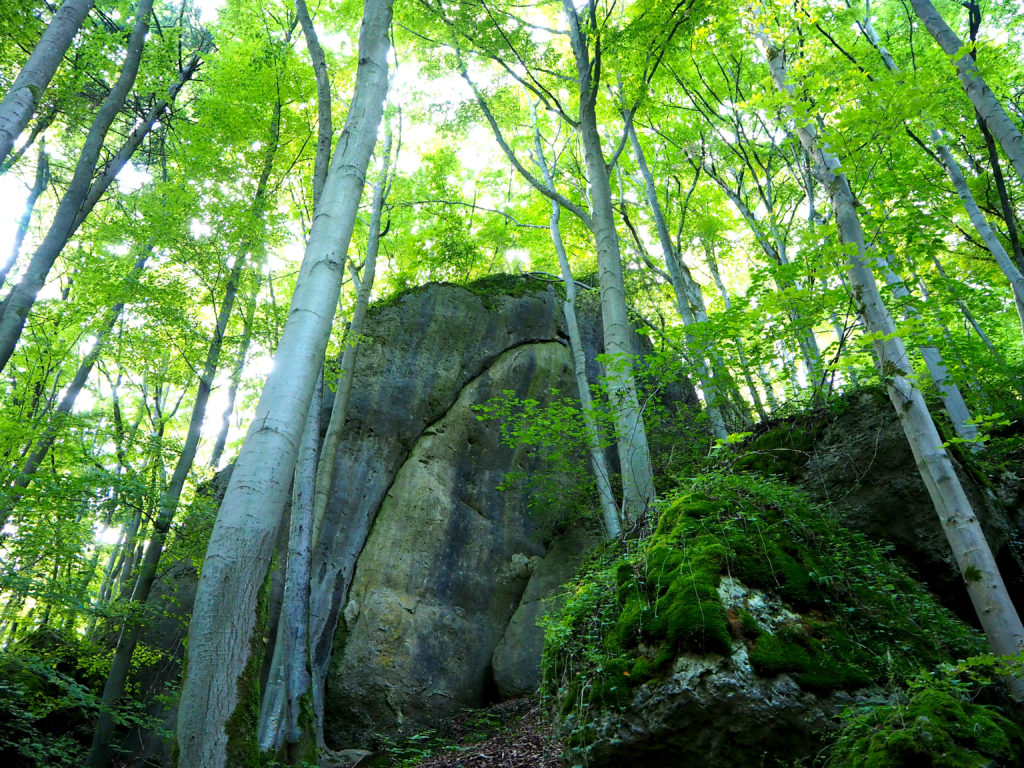 Rundwanderung Hollenberg