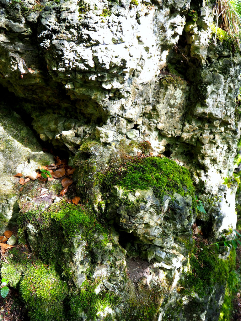 Granitfelsen neben den Wanderweg