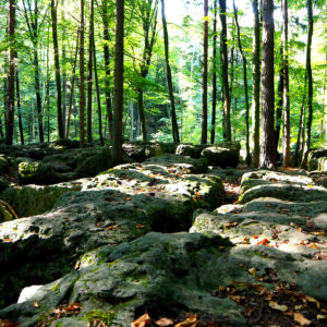 Druidenhain im Wiesenttal