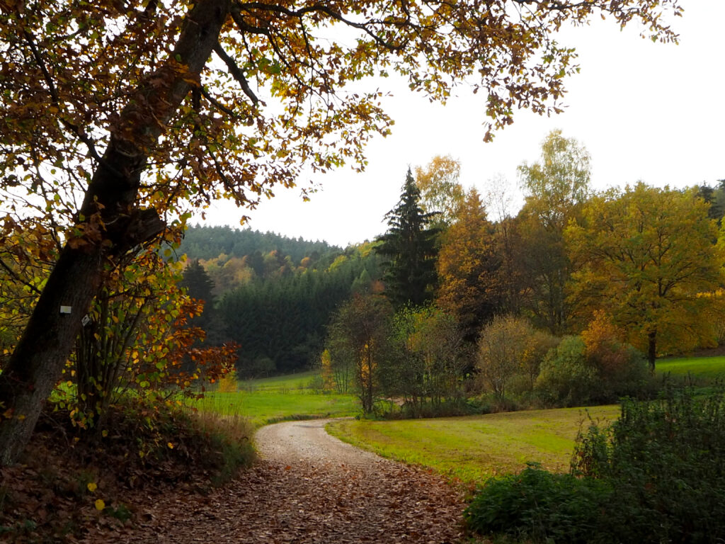 Herbststimmung bei der Wald- und Imkerlehrpfad Runde Herbstwanderung