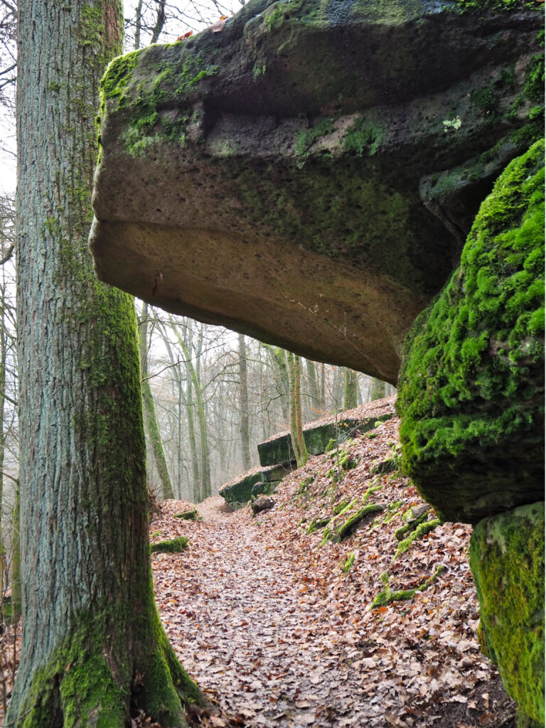 Die Wichtelhöhlen bei der Wichtelhöhlen-Tour in Bad Kissingen