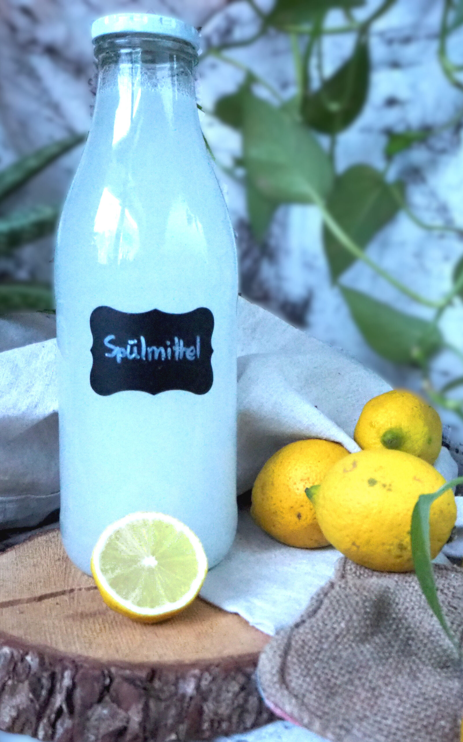selbstgemachtes Handspülmittel
