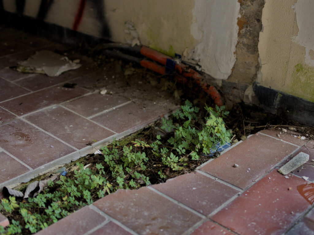Lost Place urbex exploring