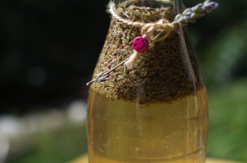 Lavendelessig selber machen