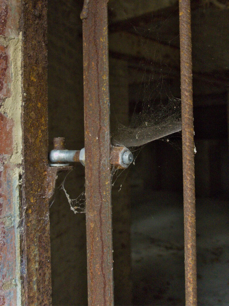 Lost Place Spinnweben